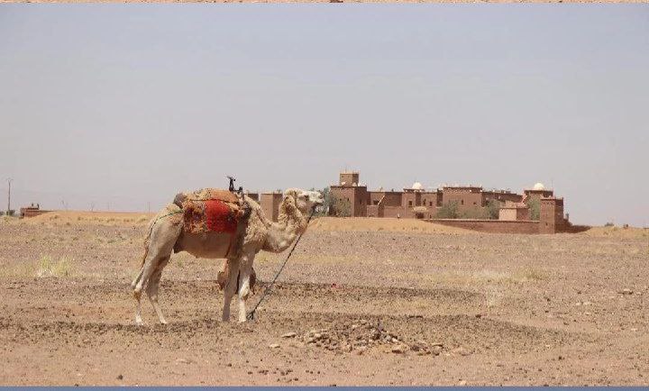 Merzouga Sahara Desert Tours