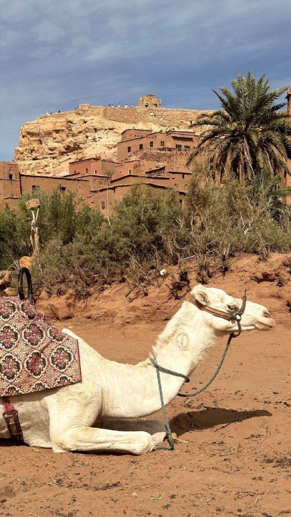 Morocco photography tours