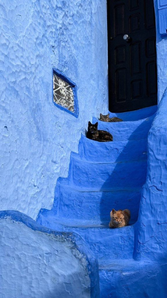 Morocco photography tours