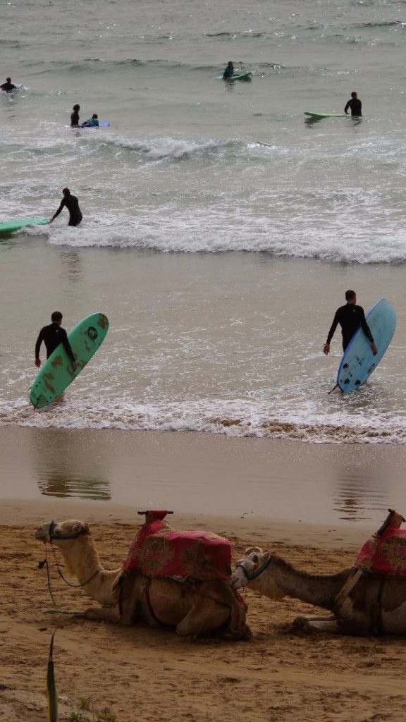 taghazout morocco